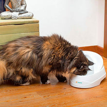 Carica l'immagine nel visualizzatore di Gallery, Ferplast Fontanella Automatica, Cani e Gatti di Piccola Taglia Vega...
