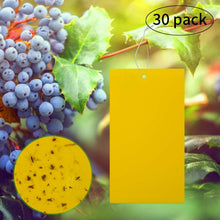 Carica l'immagine nel visualizzatore di Gallery, 30x Fogli per insetti volanti Trappole adesive da appendere vicino alberi frutta
