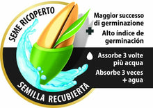 Carica l'immagine nel visualizzatore di Gallery, Miscela Speciale di semi per prato veloce, Rapida crescita, Compo 1 kg rigenera