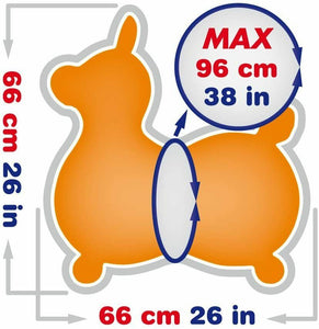 Gymnic 8005 Cavallo Rody Max, Arancione