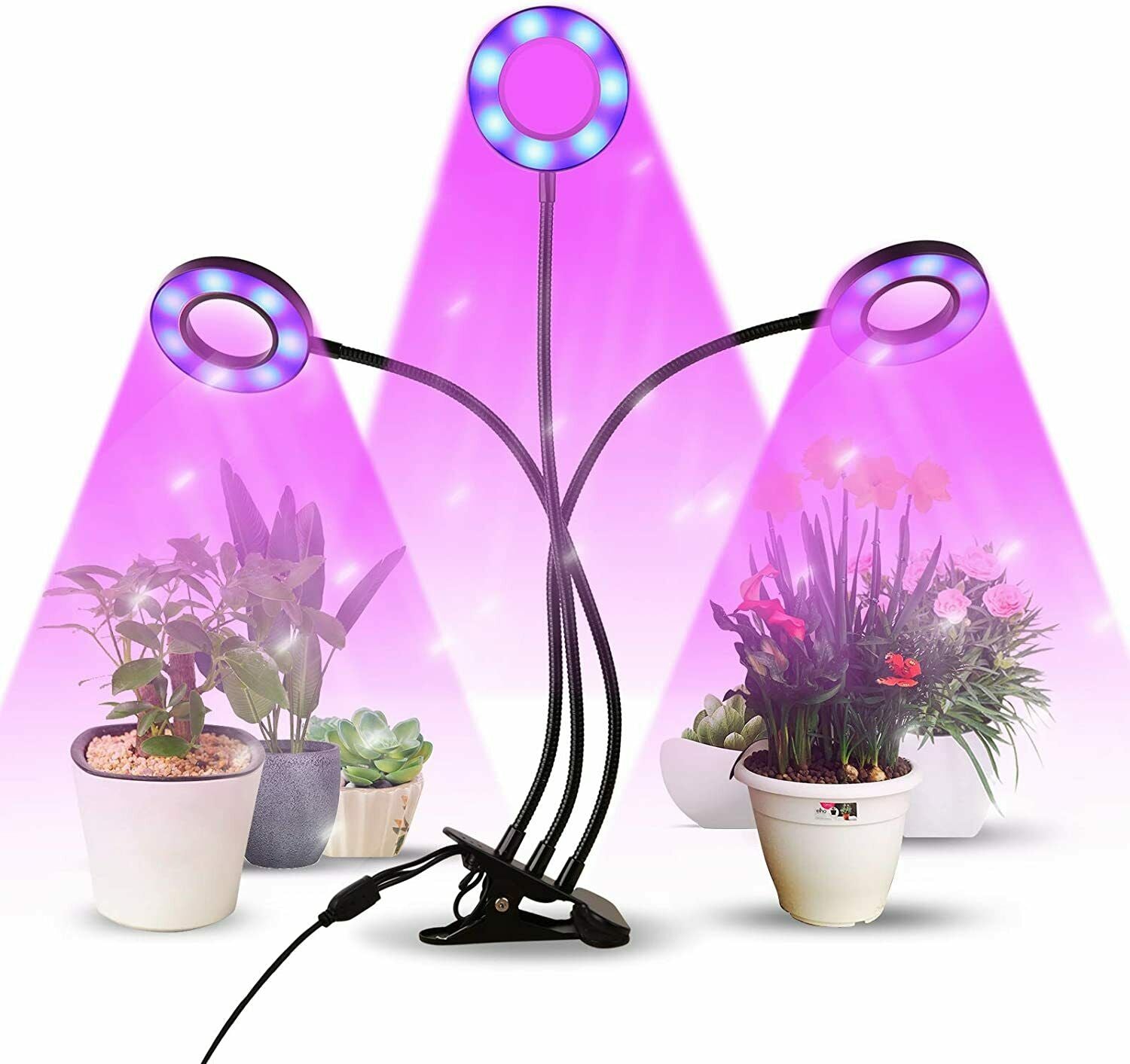 infinitoo Lampada per Piante, Grow Light Lampade LED Piante