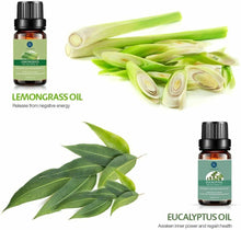 Carica l&#39;immagine nel visualizzatore di Gallery, Set di Oli Essenziali Puri con 6 Oli per l’Aromaterapia, 100% Puri, 10 ml ognuno