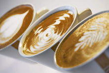 Carica l'immagine nel visualizzatore di Gallery, Caffè espresso in grani in sacco da 1 kg, Intenso e Cremoso, Chicchi tostati