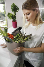 Carica l'immagine nel visualizzatore di Gallery, GF Garden, FOR 2 Everyday, Borsa in Plastica Portatutto, Contenitore Tortora