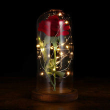 Carica l&#39;immagine nel visualizzatore di Gallery, LEDMOMO Rosa di seta con luce a LED in cupola vetro su base legno per...