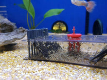 Carica l'immagine nel visualizzatore di Gallery, Trappola da acquario per lumache, Accessorio per pulizia acquario, Eliminazione