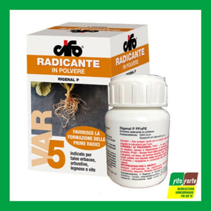 ORMONE RADICANTE POLVERE CIFO TRAPIANTI TALEE 100 GR RADICI