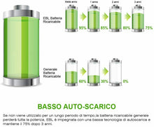 Carica l'immagine nel visualizzatore di Gallery, EBL AAA Batterie Ricaricabili con 1200 cicli,Pile da AAA*8