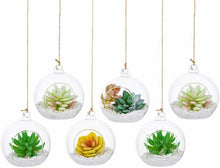 Carica l'immagine nel visualizzatore di Gallery, Glasseam Portacandele da Appendere 6 Pezzi Grande Apertura 10cm 6Pz, Clear