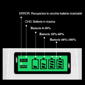 Caricabatterie per Pile Ricaricabili Stilo AA/AAA/D/C/9V Con Display LCD