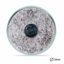 Carica l&#39;immagine nel visualizzatore di Gallery, Incutex 20x feltrini sedie da avvitare Ø 22mm per mobili vite...