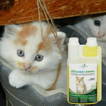 Carica l'immagine nel visualizzatore di Gallery, Ecosharkz Spray Probiotico Anti Urina Gatto (Neutralizzatore Elimina Odori...