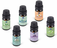 Carica l&#39;immagine nel visualizzatore di Gallery, Set di Oli Essenziali Puri con 6 Oli per l’Aromaterapia, 100% Puri, 10 ml ognuno
