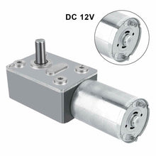 Carica l&#39;immagine nel visualizzatore di Gallery, Riduttore Reversibile Motore Elettrico Turbina ad Alta Coppia DC 12V, (6 RPM)