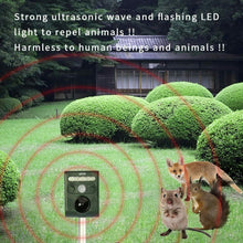 Carica l&#39;immagine nel visualizzatore di Gallery, Repellente per gatti a batterie Scaccia Cani Volpe con Batterie ricaricabili