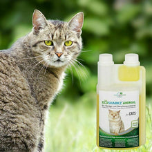 Carica l'immagine nel visualizzatore di Gallery, Ecosharkz Spray Probiotico Anti Urina Gatto (Neutralizzatore Elimina Odori...