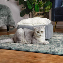 Carica l&#39;immagine nel visualizzatore di Gallery, Bedsure Cuccia Gatto Chiusa Interno - Nicchia per Gatti Morbido 2+1 Grigio