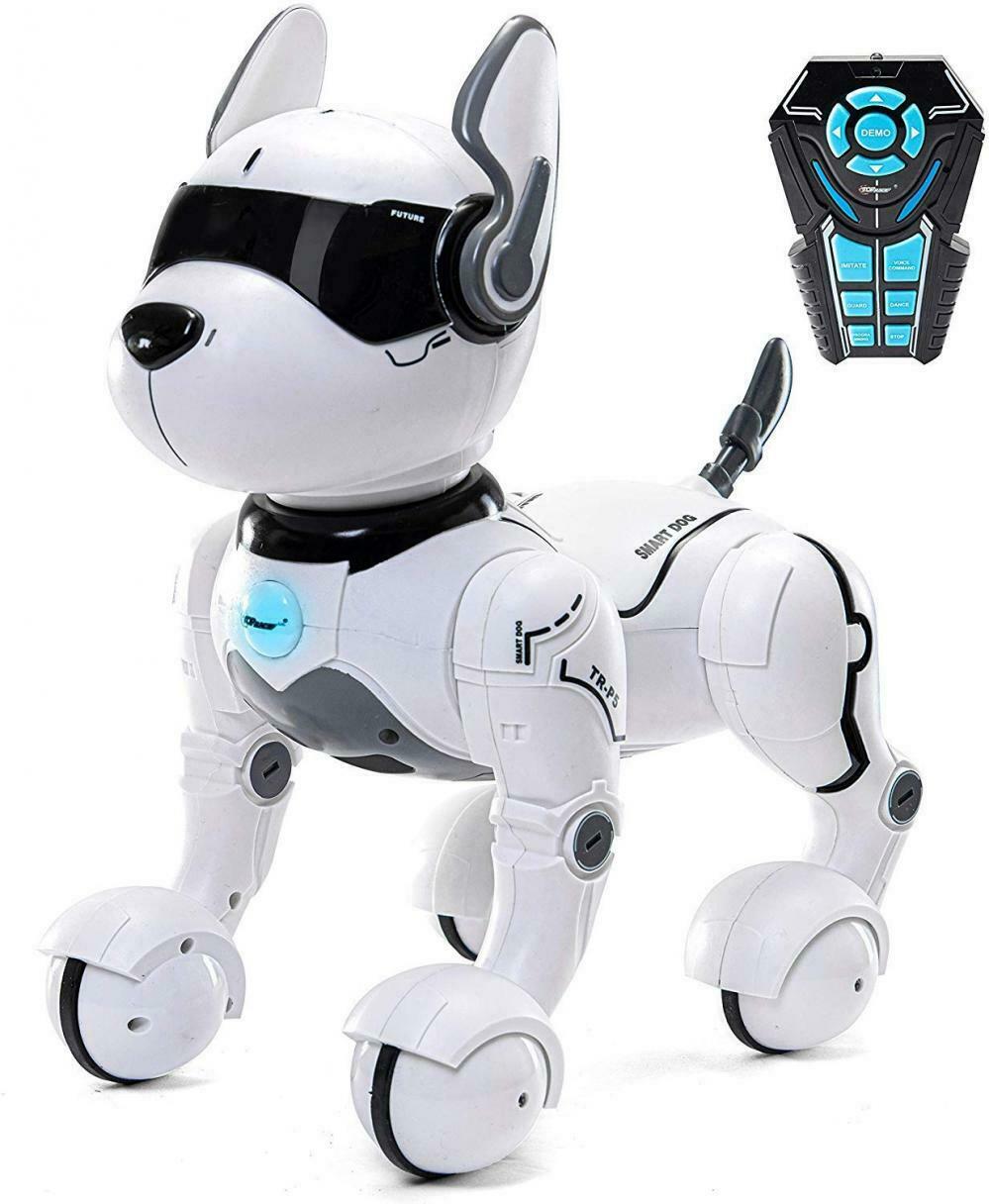 Giocattolo per cane robot telecomandato, Robot bambini, Giocattoli