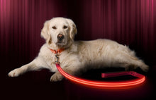 Carica l'immagine nel visualizzatore di Gallery, Guinzaglio con luce LED,ricaricabile tramite USB, in 6colori e (j8X)