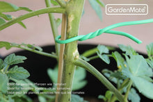 Carica l'immagine nel visualizzatore di Gallery, GardenMate 1x Bobina Filo di Ferro da Giardinaggio Rivestito Gommato 1
