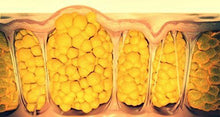 Carica l'immagine nel visualizzatore di Gallery, Massaggiatore anticellulite: spremi la cellulite grazie ai rulli brevettati!