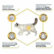 Carica l'immagine nel visualizzatore di Gallery, Advance Cibo per Gatti Sterilized Sensitive Salmone 3 Kg