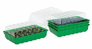 Serra da germinazione con vasetti