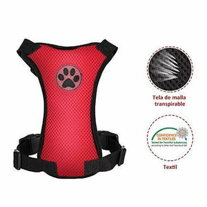 SlowTon Set di Cinture Sicurezza per Cani, S, Pettorina e cintura (rosso)