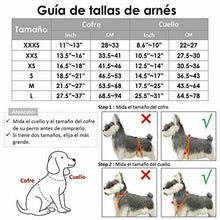 Carica l'immagine nel visualizzatore di Gallery, SlowTon Set di Cinture Sicurezza per Cani, S, Pettorina e cintura (rosso)