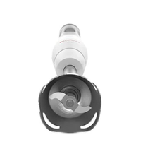 Carica l'immagine nel visualizzatore di Gallery, Mixer ad Immersione Moulinex DD4521 Easychef da 450 W con bicchiere da 500 ml