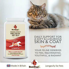 Carica l'immagine nel visualizzatore di Gallery, Best Paw Nutrition - Omega 3 Olio di Pesce per Cani 120 softgels 120