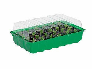 Serra da germinazione con vasetti