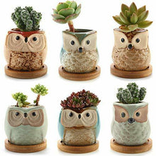 Carica l'immagine nel visualizzatore di Gallery, ComSaf Vaso per Pianta Grassa di Piante 6.5CM Set Completo Di Colori