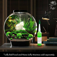 Carica l'immagine nel visualizzatore di Gallery, 4 palline di muschio gigante Marimo LUFFY, esteticamente belle e creano un...