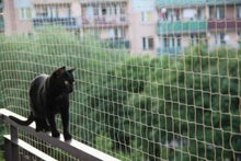 Carica l'immagine nel visualizzatore di Gallery, Rete per gatti e uccelli balcone5x5 mt + 50 ganci + 1 silicone