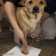 Carica l'immagine nel visualizzatore di Gallery, Bella Beso Kit Stampa Impronte Cane e Gatto Animali Domestici Senza...