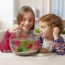 Carica l'immagine nel visualizzatore di Gallery, 4 palline di muschio gigante Marimo LUFFY, esteticamente belle e creano un...
