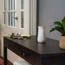Carica l&#39;immagine nel visualizzatore di Gallery, 2 x Ricariche per profumo d&#39;ambiente Glade Sense &amp; Spray, Fragranza Relaxing Zen