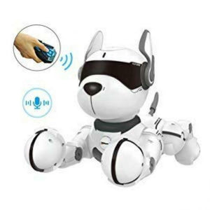 Giocattolo per cane robot telecomandato, Robot bambini, Giocattoli per...