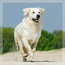 Carica l&#39;immagine nel visualizzatore di Gallery, GreenPet Olio di Pesce 1L, Omega-3 Naturale Salmone per Cani e Gatti...