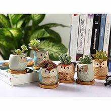 Carica l'immagine nel visualizzatore di Gallery, ComSaf Vaso per Pianta Grassa di Piante 6.5CM Set Completo Di Colori