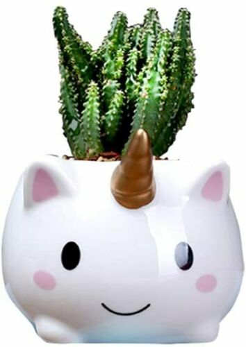 Vasi per piante di unicorno, vasi fiori succulenti a forma cartone...