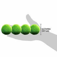 Carica l'immagine nel visualizzatore di Gallery, 4 palline di muschio gigante Marimo LUFFY, esteticamente belle e creano un...