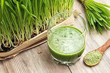 Carica l'immagine nel visualizzatore di Gallery, Polvere erba d'orzo puro Nurafit, interamente vegana e senza glutine, 500g